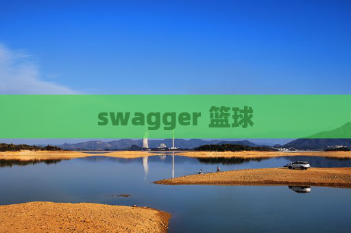 swagger 篮球 swagger 篮球
